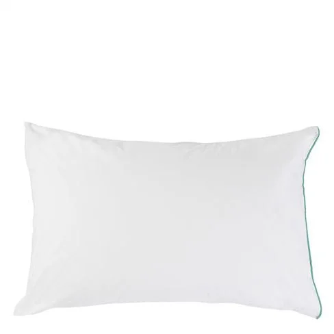 Astor Jade European Sham