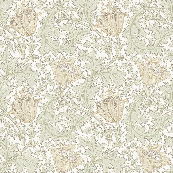 Anemone Light Green Floral Trail Wallpaper