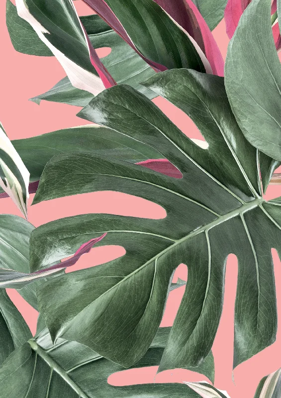 Botanical Wallpaper Monstera Pink by KEK Amsterdam