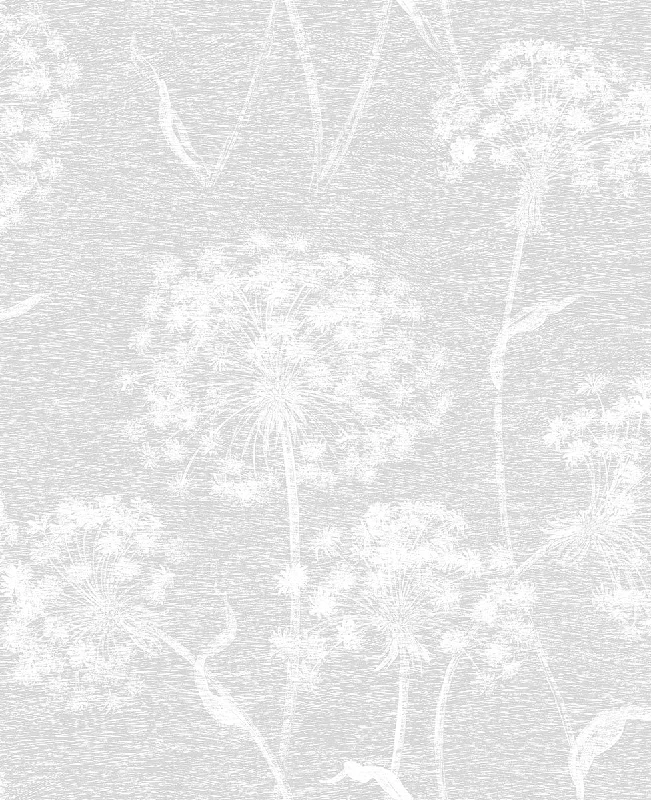 Carolyn Light Grey Dandelion Wallpaper from the Nature by Advantage Collection