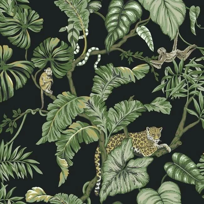 Jungle Cat Wallpaper in Black from the Traveler Collection by Ronald Redding