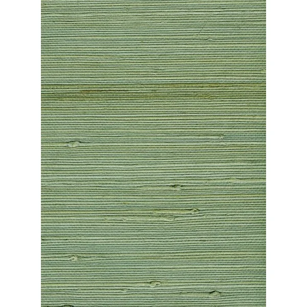 Jute Grasscloth Wallpaper in Green from the Natural Resource Collection by Seabrook Wallcoverings